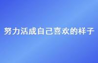 努力活成自己喜欢的样子75句汇总 努力活成自己喜欢的样子75句汇总