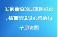 摘葡萄说说心情的句子朋友圈【精选100句】