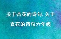 关于杏花的诗句六年级【精品文案100句】 关于杏花的诗句六年级【精品文案100句】