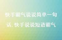 快手说说短语霸气【100句文案】