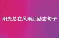 阳光总在风雨后励志句子69句汇总