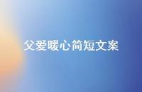 父爱暖心简短文案61句汇总 父爱暖心简短文案61句汇总