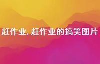 赶作业的搞笑图片(100句)