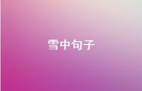 雪中句子57句汇总