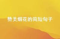 赞美烟花的简短句子(精选67句) 赞美烟花的简短句子(精选67句)
