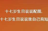 十七岁生日说说致自己简短(100句) 十七岁生日说说致自己简短(100句)
