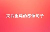 灾后重建的感悟句子64句汇总