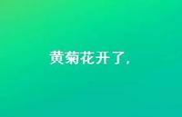 花开了【精品文案97句】 花开了【精品文案97句】