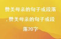 赞美母亲的句子或段落20字【100句文案精选】