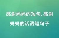 感谢妈妈的话语短句子【100句文案精选】 感谢妈妈的话语短句子【100句文案精选】