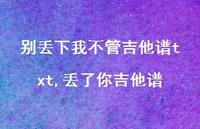 丢了你吉他谱(100句) 丢了你吉他谱(100句)