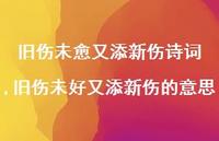 旧伤未好又添新伤的意思(100句)