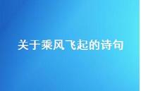 关于乘风飞起的诗句(精选59句) 关于乘风飞起的诗句(精选59句)