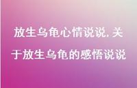 关于放生乌龟的感悟说说(100句) 关于放生乌龟的感悟说说(100句)