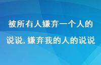 嫌弃我的人的说说【100句文案】