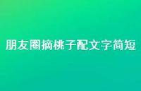 朋友圈摘桃子配文字简短【100句精选短句合集】