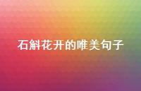 石斛花开的唯美句子【100句精选短句合集】 石斛花开的唯美句子【100句精选短句合集】
