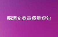 喝酒文案高质量短句【100句精选短句合集】