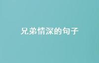 兄弟情深的句子58句汇总