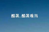 酷暑难当【100句文案精选】