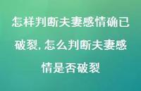 怎么判断夫妻感情是否破裂(100句)
