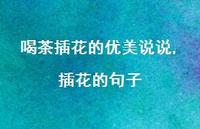 插花的句子(100句)