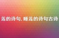 睡莲的诗句古诗【100句文案精选】