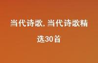 当代诗歌精选30首【精品文案100句】