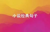 小说经典句子39句汇总 小说经典句子39句汇总
