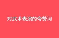 对武术表演的夸赞词(精选47句) 对武术表演的夸赞词(精选47句)