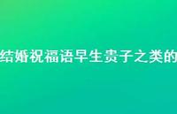结婚祝福语早生贵子之类的合集61句精选
