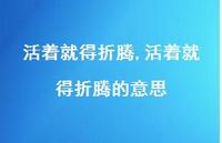 活着就得折腾的意思【100句文案精选】
