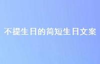 不提生日的简短生日文案【100句精选短句合集】