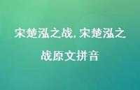 宋楚泓之战原文拼音【100句文案精选】