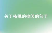 关于核桃的搞笑的句子(精选67句) 关于核桃的搞笑的句子(精选67句)