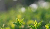 「情感故事」我的很多个一次都给了他,而今希望永远不要见到他 「情感故事」我的很多个一次都给了他,而今希望永远不要见到他