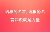 培根的名言知识就是力量【100句文案精选】 培根的名言知识就是力量【100句文案精选】