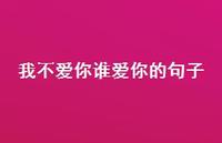 我不爱你谁爱你的句子【100句精选短句合集】