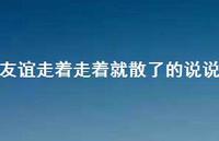 友谊走着走着就散了的说说【100句精选短句合集】