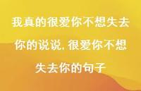 很爱你不想失去你的句子(100句) 很爱你不想失去你的句子(100句)