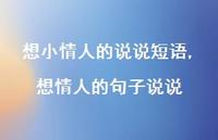 想情人的句子说说【100句文案】 想情人的句子说说【100句文案】