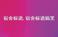 宿舍标语搞笑【精品文案100句】