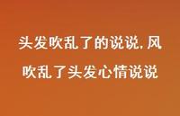 风吹乱了头发心情说说(100句)