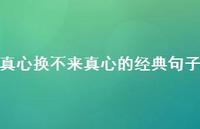 真心换不来真心的经典句子【100句精选短句合集】