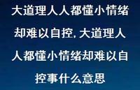 大道理人人都懂小情绪却难以自控事什么意思【97句文案】 大道理人人都懂小情绪却难以自控事什么意思【97句文案】