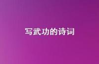 写武功的诗词(精选66句) 写武功的诗词(精选66句)