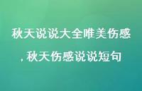 秋天伤感说说短句【100句文案】