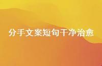 分手文案短句干净治好【100句精选短句合集】