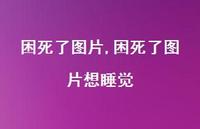 困死了图片想睡觉【100句文案】 困死了图片想睡觉【100句文案】