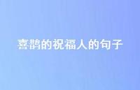 喜鹊的祝福人的句子(精选44句)